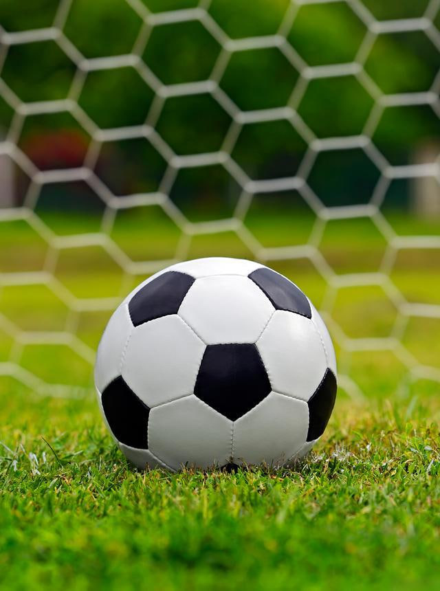 多平台支持展示